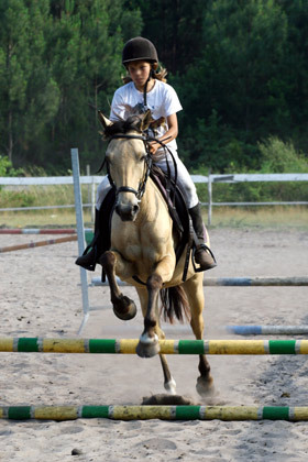 L'équitation, la Fédération Française de l'Equitation - 2A