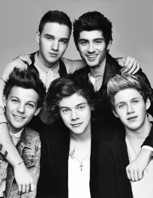 One Direction tes idoles ?