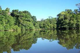 Parc Amazonien de Guyane