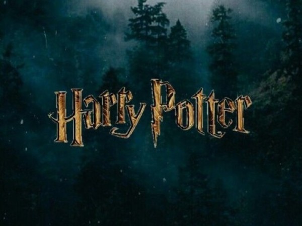 Connais-tu bien Harry Potter ?