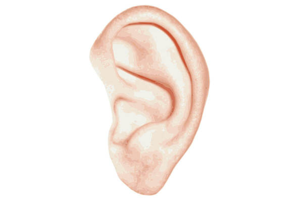 Jouer d'oreille : exercice 2