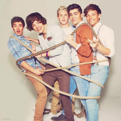 One Direction (membres)