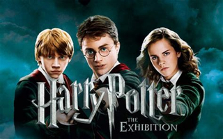 Personnage d'Harry Potter