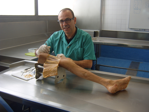 Osteología EESS Prof. Ramon Aiguadé