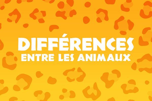Les différences entre les animaux (3)