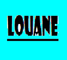 Les quizz de Louane12