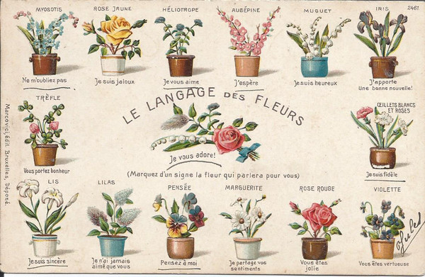 Le langage de fleurs !