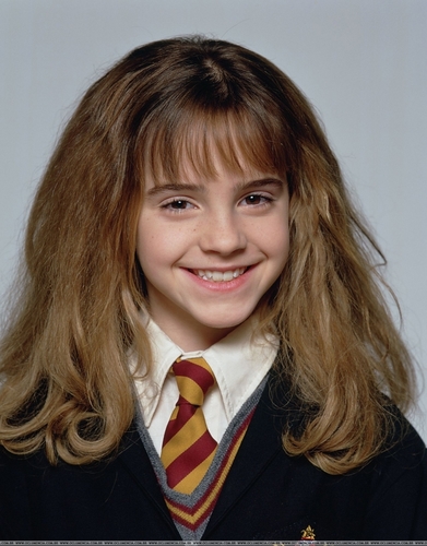 Harry Potter Hermione Ron