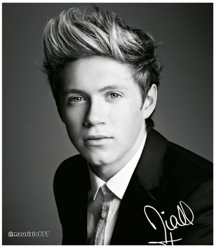 One Direction : Niall Horan