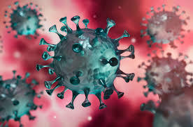 Le coronavirus