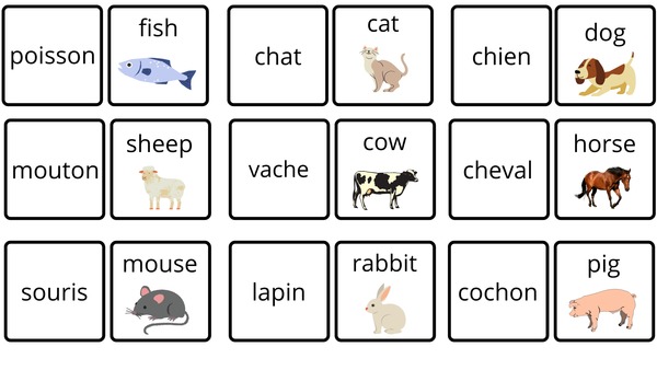 Les animaux en anglais