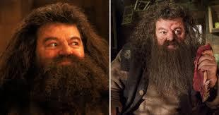 Les personnages d'Harry Potter : Rubeus Hagrid