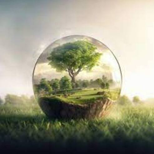 Nature au Quotidien (1)