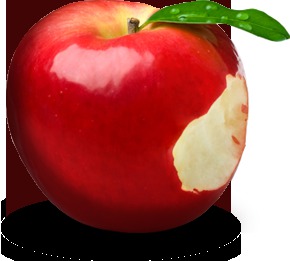 Expressions avec le mot "pomme"