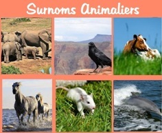 Homonymes Animaliers