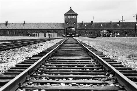 Auschwitz n°2