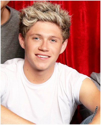 One Direction : Niall Horan