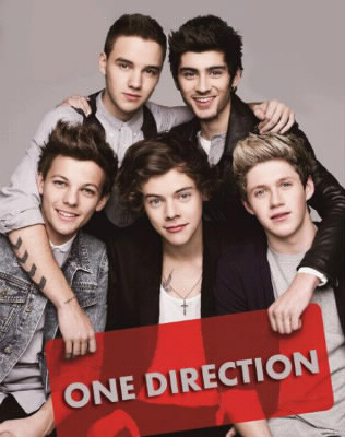 Membres des One Direction