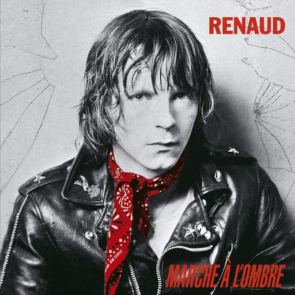 Les chansons de Renaud