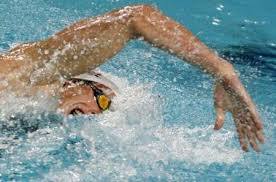 Championnats du monde de natation 2013