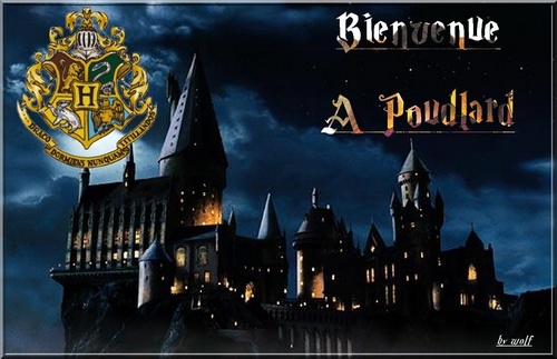 Connais-tu bien le monde magique (Harry Potter) ?